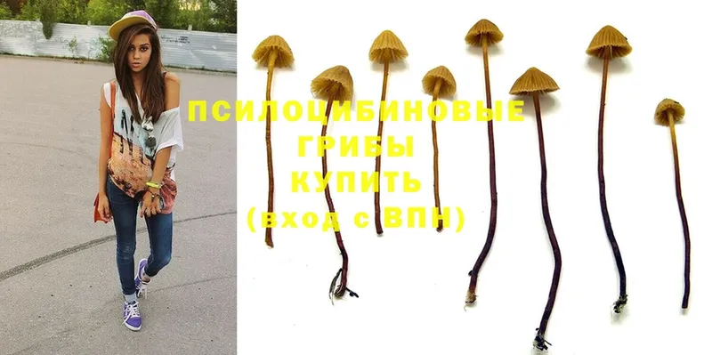 Псилоцибиновые грибы Magic Shrooms  Касимов 